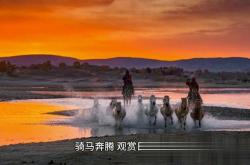 赤峰初遇美容院地址電話號碼