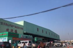 赤峰切花菊批發(fā)市場電話號碼