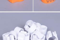 赤峰賽鴿用品專賣店電話號碼