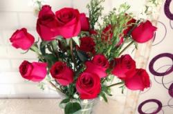 赤峰銀馬小區(qū)鮮花店電話號碼