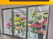 赤峰酒柜玻璃門(mén)廠家電話號(hào)碼