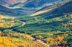 赤峰澤涵商貿(mào)公司地址電話號(hào)碼