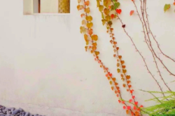 赤峰溪悅谷民宿推薦電話是多少