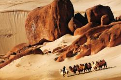 赤峰駱駝交易中心電話號(hào)碼查詢