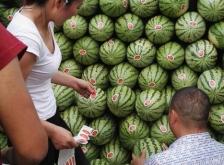 赤峰橋頭私家車電話多少號