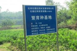 赤峰黃芪幼苗種植基地電話號(hào)碼