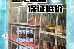 赤峰寵物杜賓出售電話號碼查詢