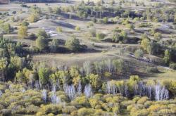 赤峰榆木桿子廠(chǎng)家電話(huà)地址查詢(xún)