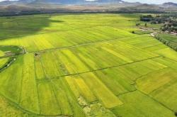 赤峰大板怎么樣