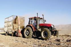 赤峰肉馬養(yǎng)殖場地址電話號碼