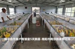 赤峰市養(yǎng)鵝場(chǎng)電話地址查詢