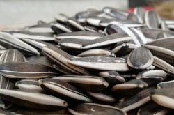 赤峰市黑臉瓜子廠家電話號(hào)碼