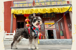 赤峰市康寧寺電話話號是多少