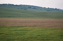 赤峰玩雪租車電話地址是多少號