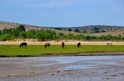 赤峰星訊手機(jī)店電話地址查詢