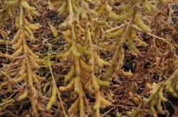 赤峰油料供應(yīng)站電話號碼是多少