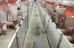 赤峰牧原繁殖場地址電話號碼