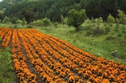 赤峰天虹花卉滑雪場電話號碼