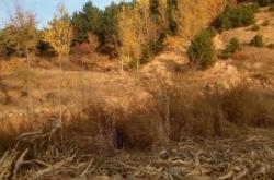 赤峰到寧城拼車(chē)