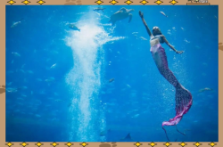 赤峰水族館訂票電話是多少號