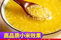 赤峰雙豐文具店電話號碼查詢