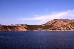 赤峰大福流浪救助站電話號(hào)碼