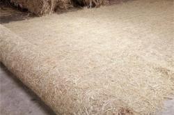 赤峰護(hù)坡噴草劑廠家電話號碼