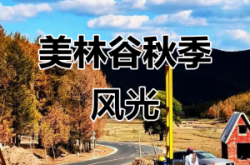 赤峰旺谷茶樓電話多少啊