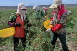 赤峰紅山區(qū)農(nóng)牧局電話號碼