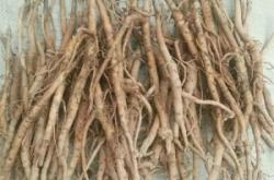 赤峰牡丹銷售電話號(hào)碼是多少號(hào)