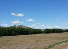 赤峰液化氣站點(diǎn)查詢電話號(hào)碼