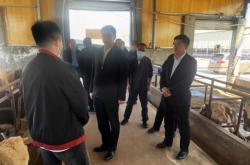 赤峰中糧屠宰場招聘電話號碼