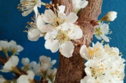 赤峰木頭溝鄉(xiāng)