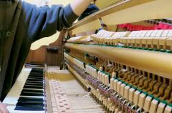 赤峰調(diào)律師傅電話多少號碼