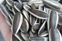 赤峰祁氏瓜子店電話多少號