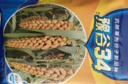 內(nèi)蒙赤峰谷子種業(yè)公司電話號(hào)碼