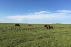 赤峰小峰嚴(yán)選超市電話