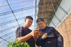 赤峰林東鎮(zhèn)社區(qū)電話(huà)號(hào)碼是多少