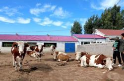 赤峰平莊養(yǎng)牛場電話地址查詢