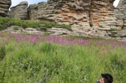 赤峰昭君博物館電話號(hào)碼查詢