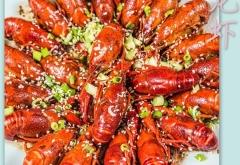 赤峰地區(qū)送黃掰魚的電話號(hào)碼