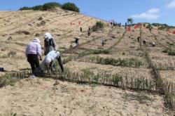 赤峰林業(yè)局電話號碼是多少