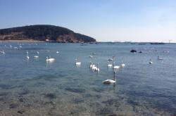 赤峰天鵝湖旅游度假區(qū)電話號(hào)碼