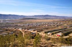 赤峰大廟馬戲團電話多少號