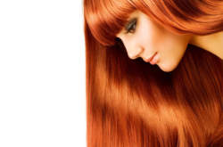 赤峰戴維森理發(fā)店電話號(hào)碼