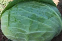 赤峰市蔬菜超市地址電話號碼