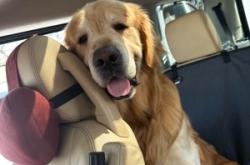 赤峰金毛游泳館電話號碼