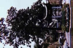 赤峰拾光電影工作室電話號(hào)碼