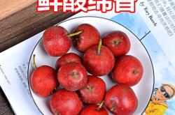 赤峰冰糖葫蘆批發(fā)電話號(hào)碼