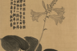 赤峰市金農(nóng)押運(yùn)公司電話號(hào)碼